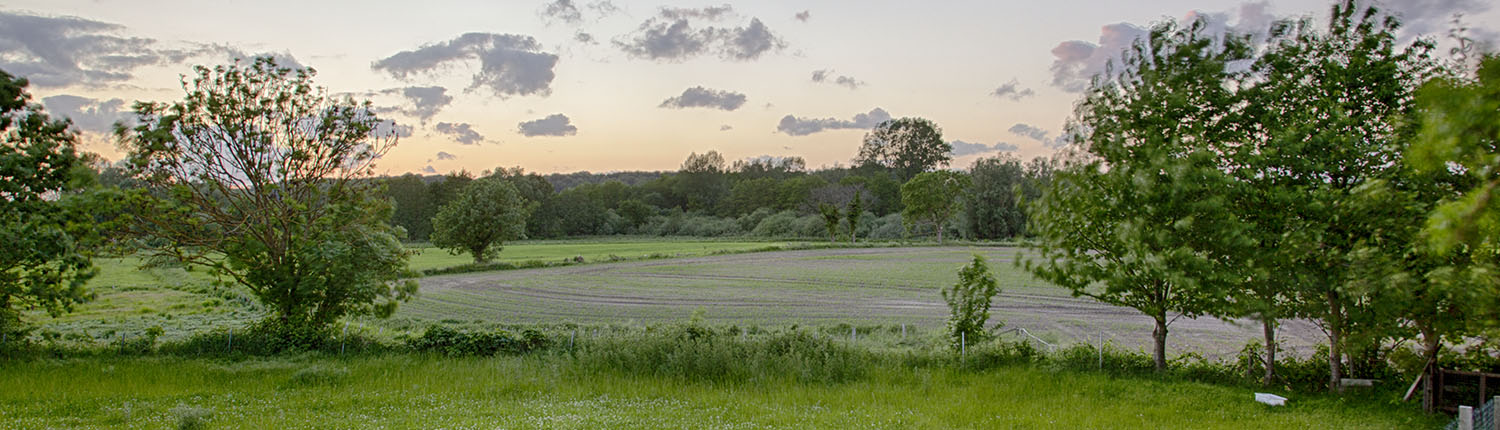 KRH_Naturschutzgebiet Blick auf die Abendlandschaft bei Grömitz