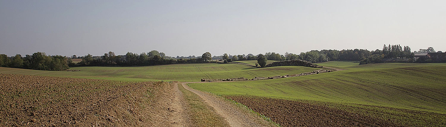 Blick über die Ostholsteinische Landschaft